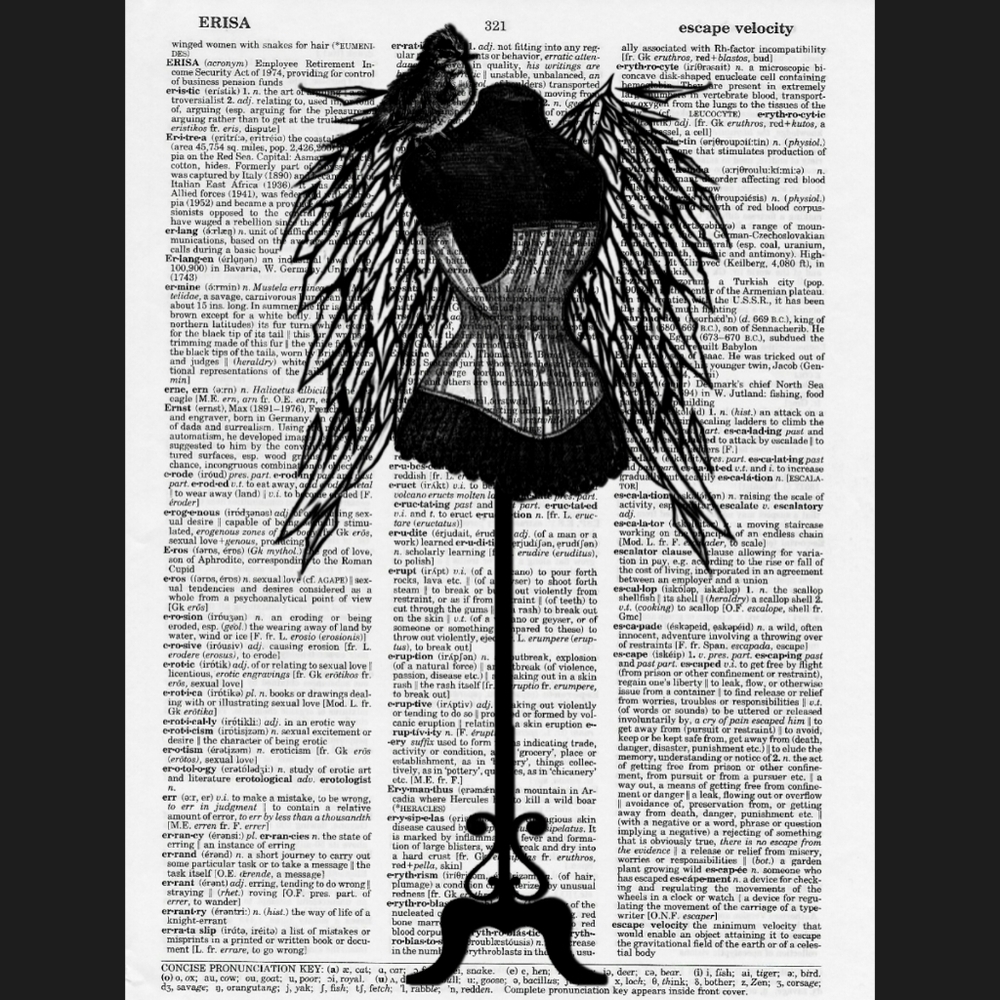 Poshmark Chic Vintage Dictionary Art Print Wings